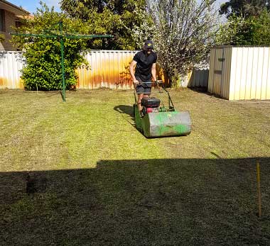 Lawn mowing, edging & hedging