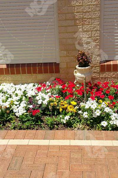 Mows Landscaping Dianella 51