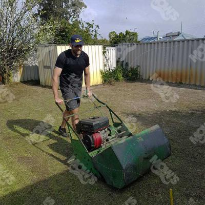 Mows Lawn mowing, edging and hedging Dianella 2
