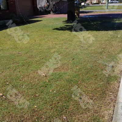 Mows Reticulation Maintenance Nollamara